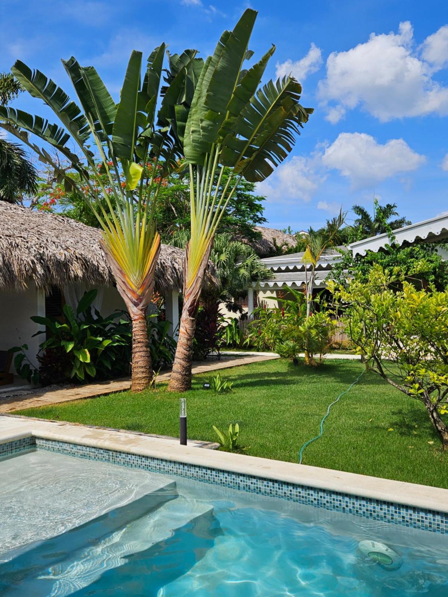 Casa Shambala B&B Las Terrenas Esterno foto